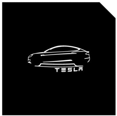 LED Logo Tesla Puddle Lights for Model 3/Y/S/X