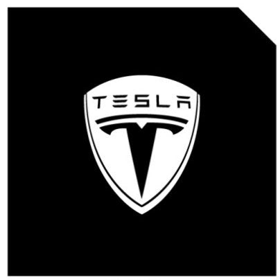 LED Logo Tesla Puddle Lights for Model 3/Y/S/X