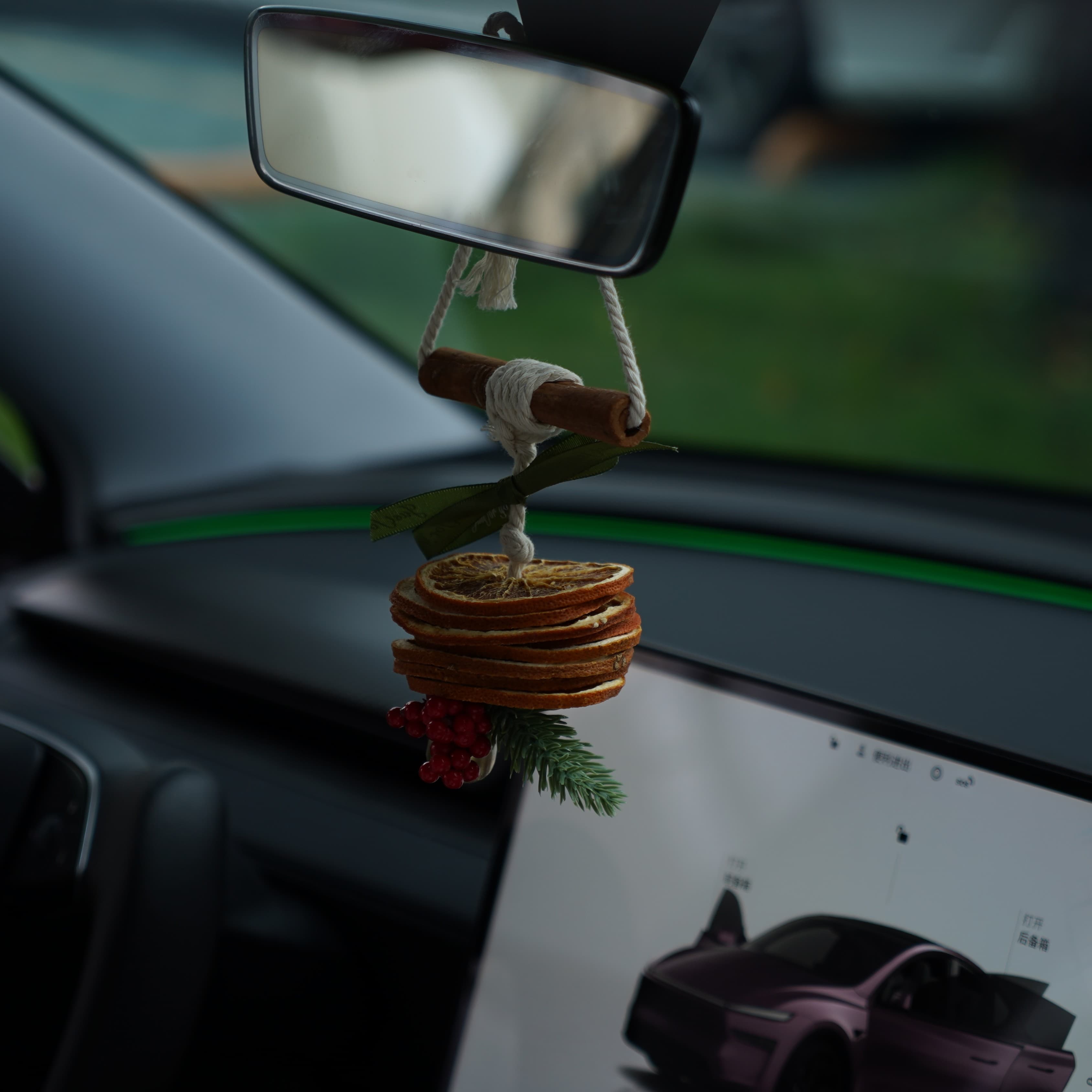 Orange Scent Christmas Ornament for Tesla