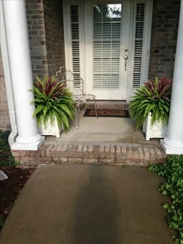 Artificial fern displayed outdoors