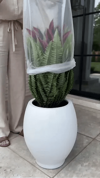 Lush artificial fern and red dracaena outdoor display