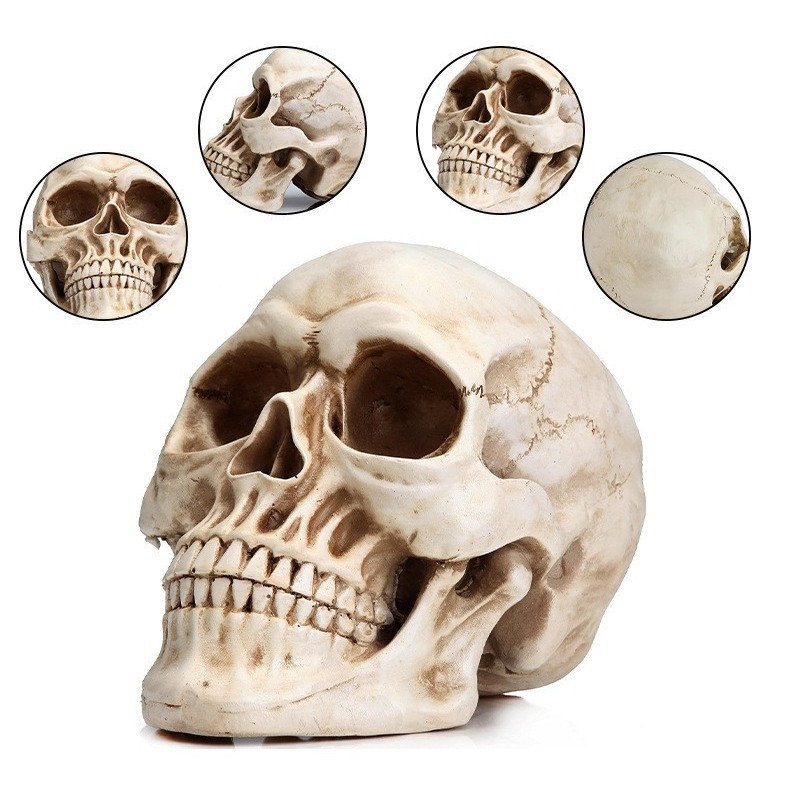 🎃 Resin Human Skull Statue | Gothic Skull Decor for Halloween, Dark Academia & Haunted House