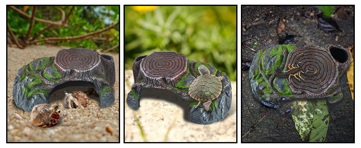 Reptile Simulation Rock Cave Hideouts