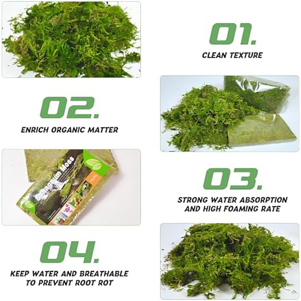 Dry moss, reptile bedding, hamster and reptile decorative landscaping warming bedding, sterile and moisture-retaining sphagnum moss-vidsheer