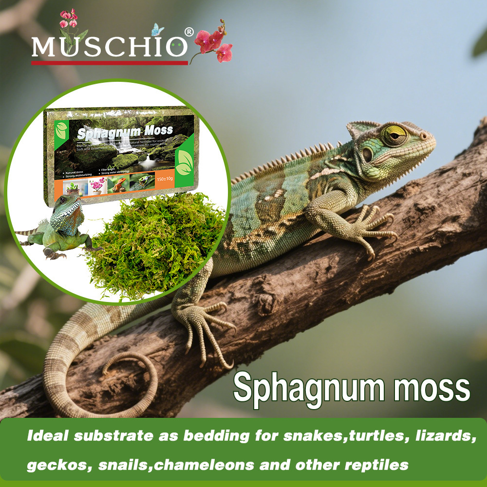 Dry moss, reptile bedding, hamster and reptile decorative landscaping warming bedding, sterile and moisture-retaining sphagnum moss-vidsheer