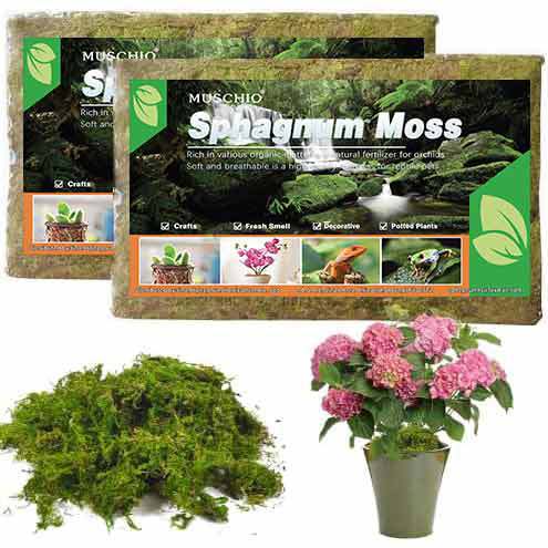 Dry moss, reptile bedding, hamster and reptile decorative landscaping warming bedding, sterile and moisture-retaining sphagnum moss-vidsheer
