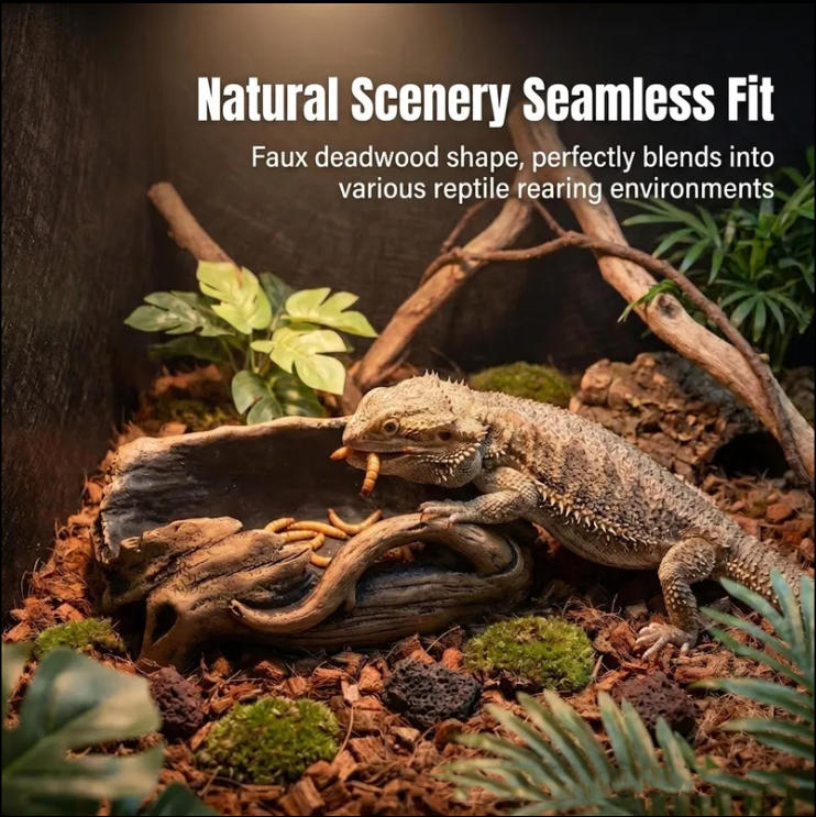 Reptile food and water bowls, driftwood-shaped landscaping bathtubs, small pet fruit puree feeding bowls