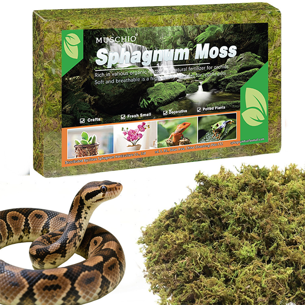 Dry moss, reptile bedding, hamster and reptile decorative landscaping warming bedding, sterile and moisture-retaining sphagnum moss-vidsheer