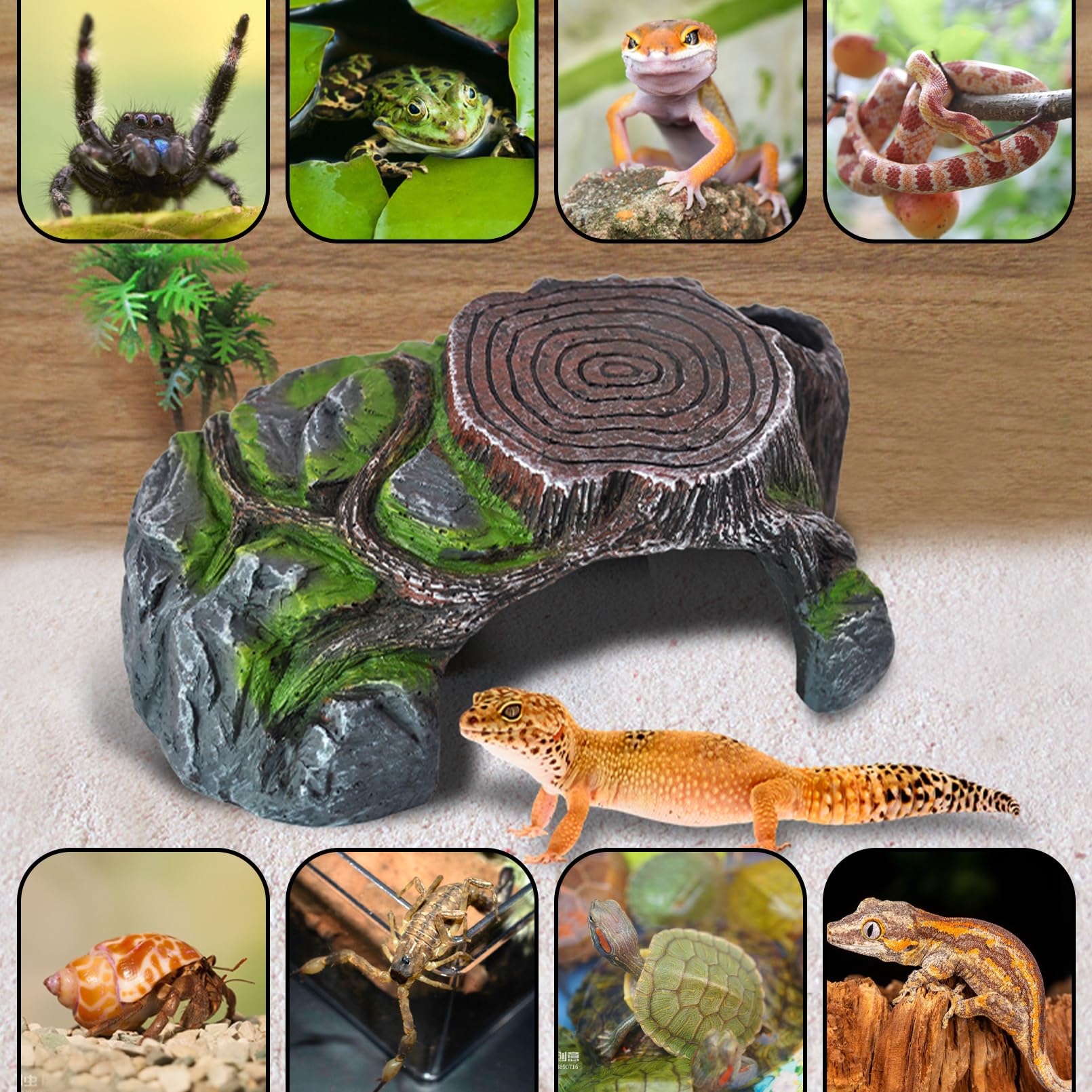 Resin Reptile Hide Cave,Leopard Gecko Cave Hideout Reptiles Habitat Tree Stump Decor Lizard Tank Climbing Ramp Basking Platform Accessories for Gecko Hermit Crab Small Turtle Frog Spider Scorpion-vidsheer