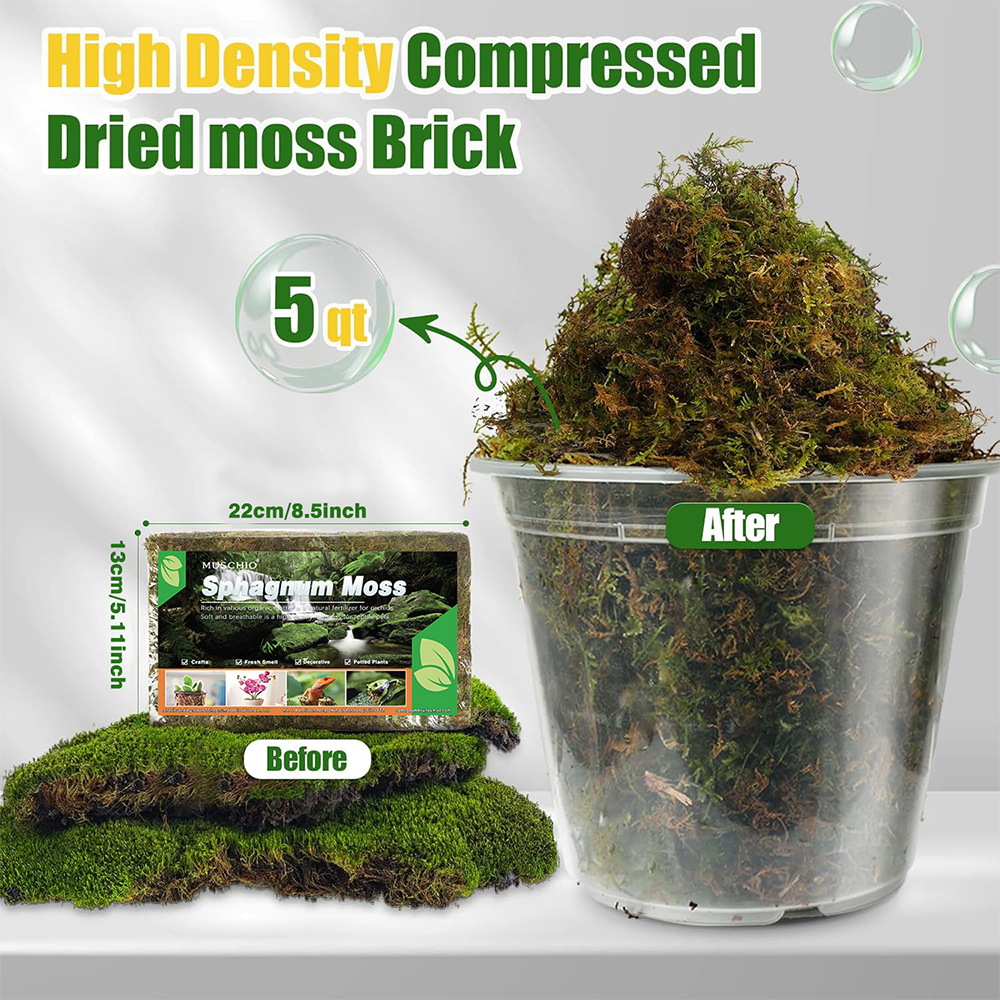 Dry moss, reptile bedding, hamster and reptile decorative landscaping warming bedding, sterile and moisture-retaining sphagnum moss-vidsheer