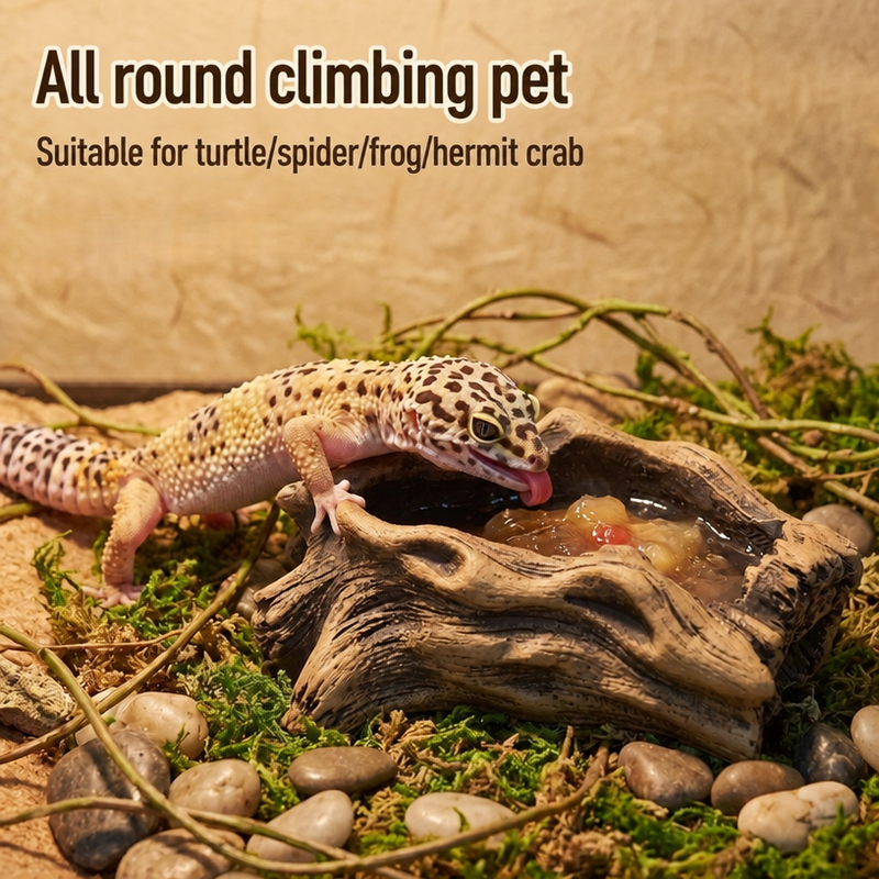 Reptile food and water bowls, driftwood-shaped landscaping bathtubs, small pet fruit puree feeding bowls-vidsheer