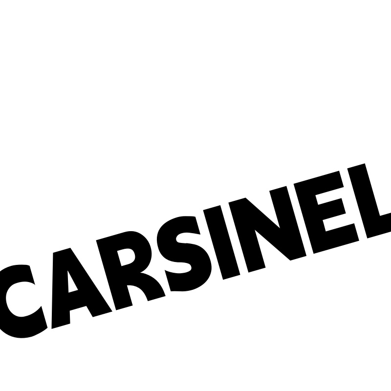 CARSINEL