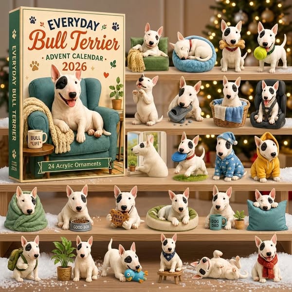 🐶Everyday Bull Terrier Advent Calendar 2026 - 24-Day Festive Countdown