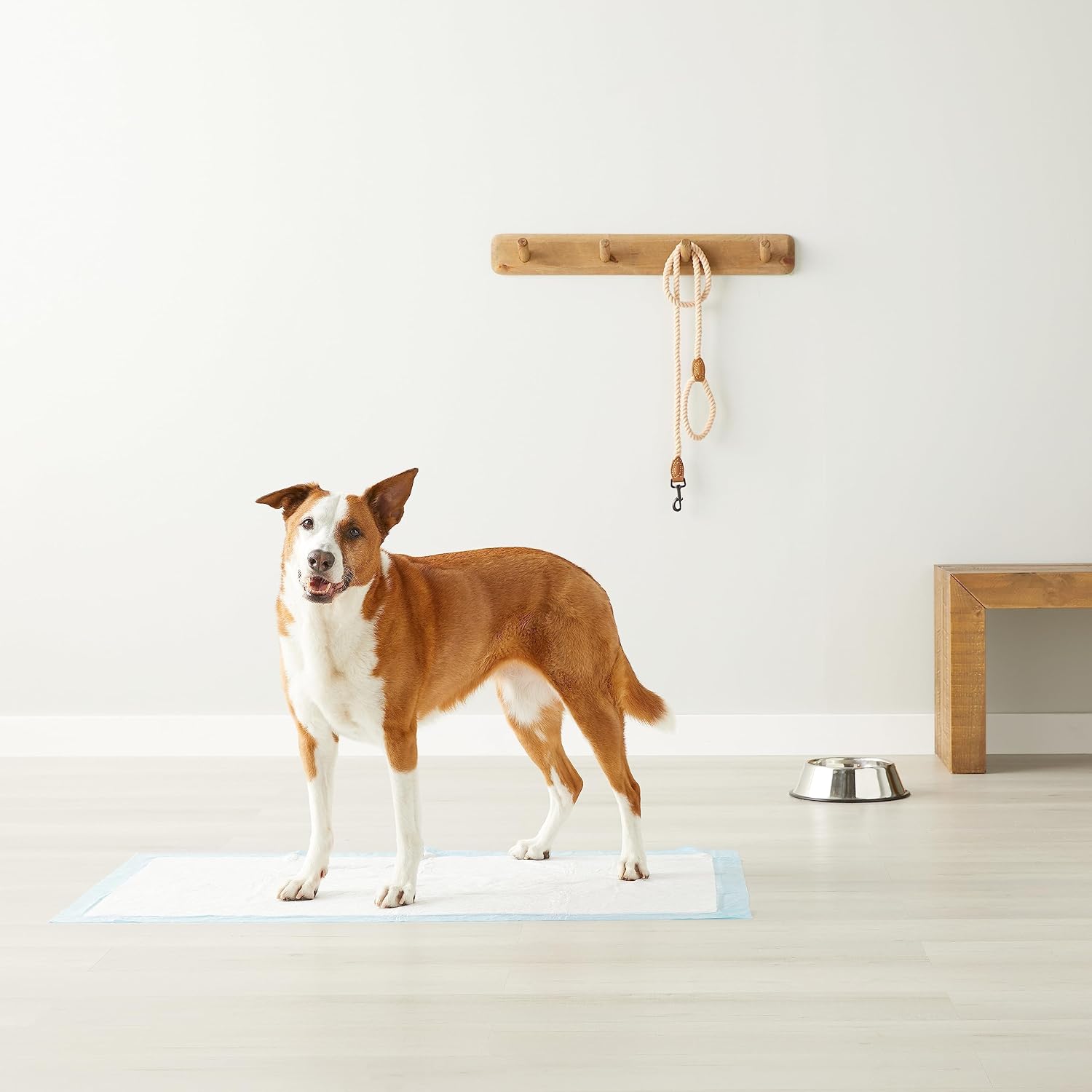 Disposable Dog Training Pads with 5-Layer Leak-Proof Design, Quick-Dry Surface