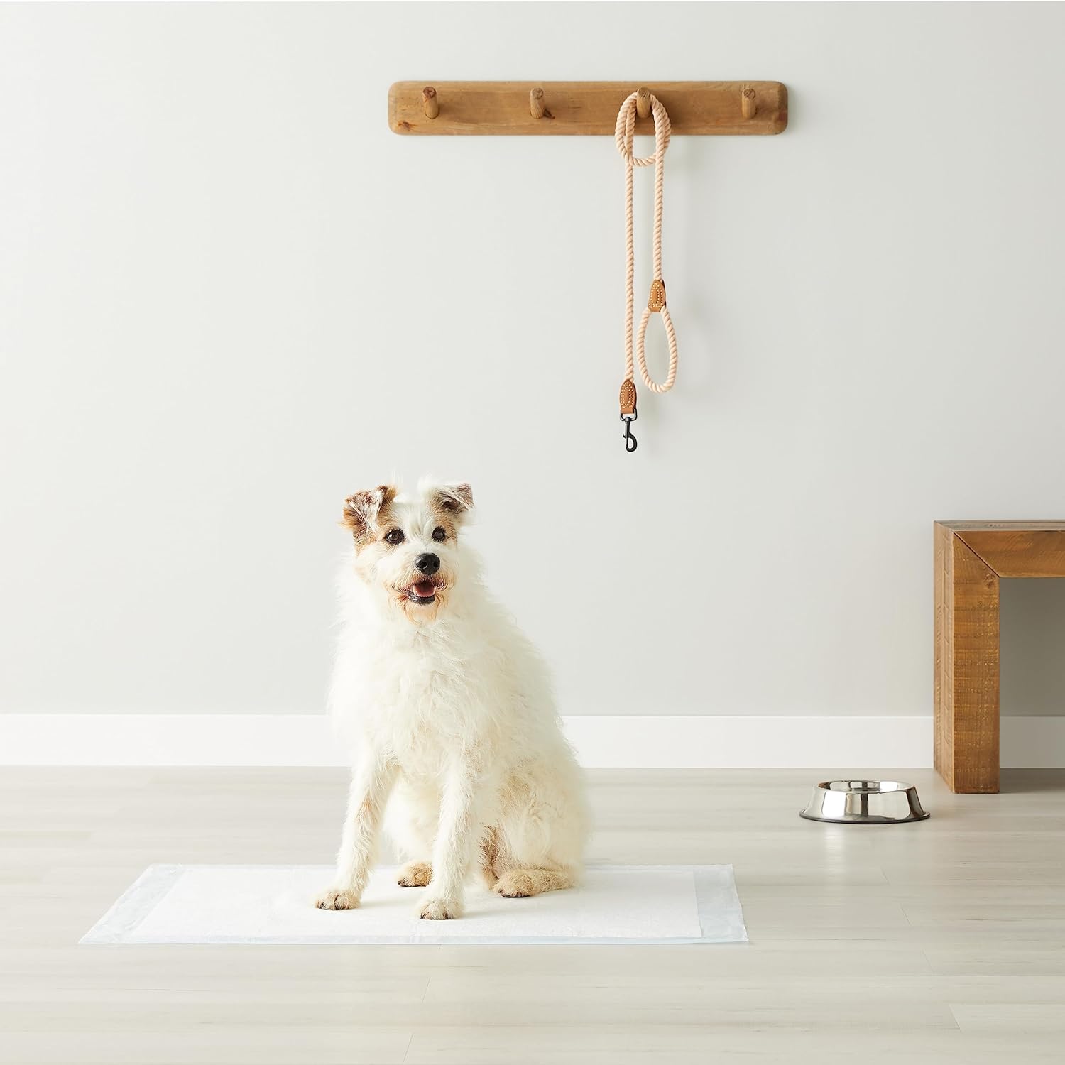 Disposable Dog Training Pads with 5-Layer Leak-Proof Design, Quick-Dry Surface