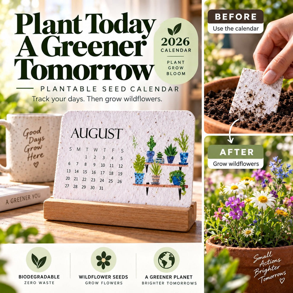 ✨🏆Early Holiday Sale 49% OFF 🌱Eco-Friendly Plantable “Timeless” Seed Calendar 2027