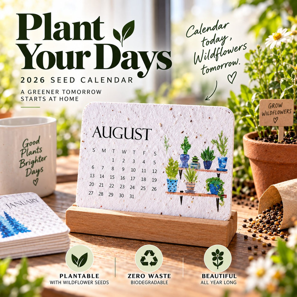 ✨🏆Early Holiday Sale 49% OFF 🌱Eco-Friendly Plantable “Timeless” Seed Calendar 2027