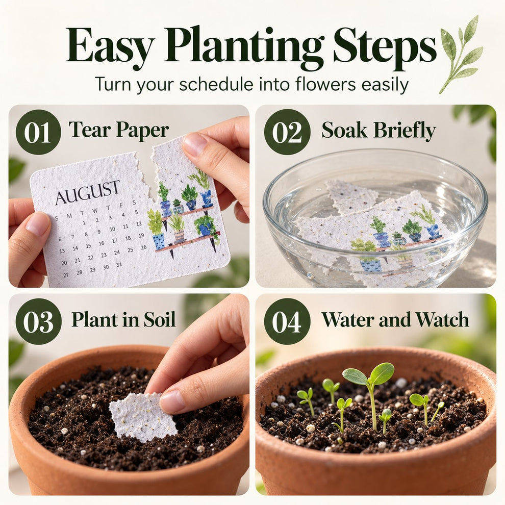 ✨🏆Early Holiday Sale 49% OFF 🌱Eco-Friendly Plantable “Timeless” Seed Calendar 2027