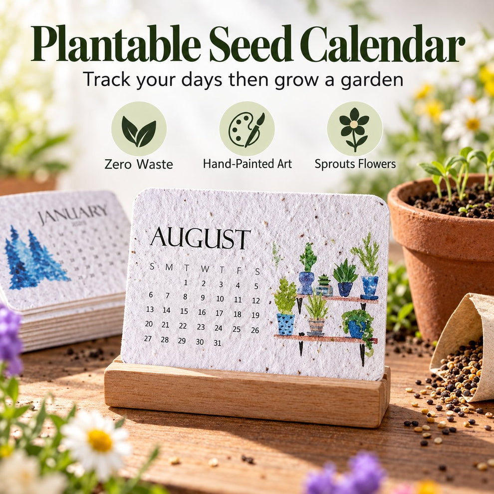 ✨🏆Early Holiday Sale 49% OFF 🌱Eco-Friendly Plantable “Timeless” Seed Calendar 2027