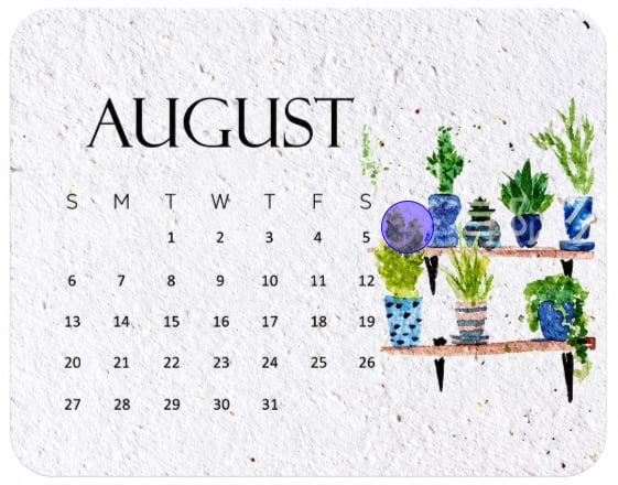 ✨🏆Early Holiday Sale 49% OFF 🌱Eco-Friendly Plantable “Timeless” Seed Calendar 2027
