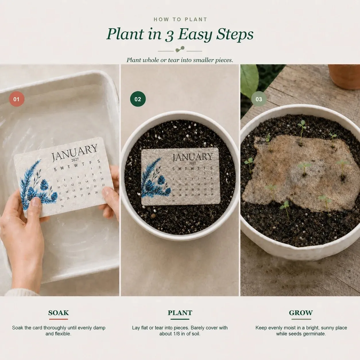 Defined Planting Attempts