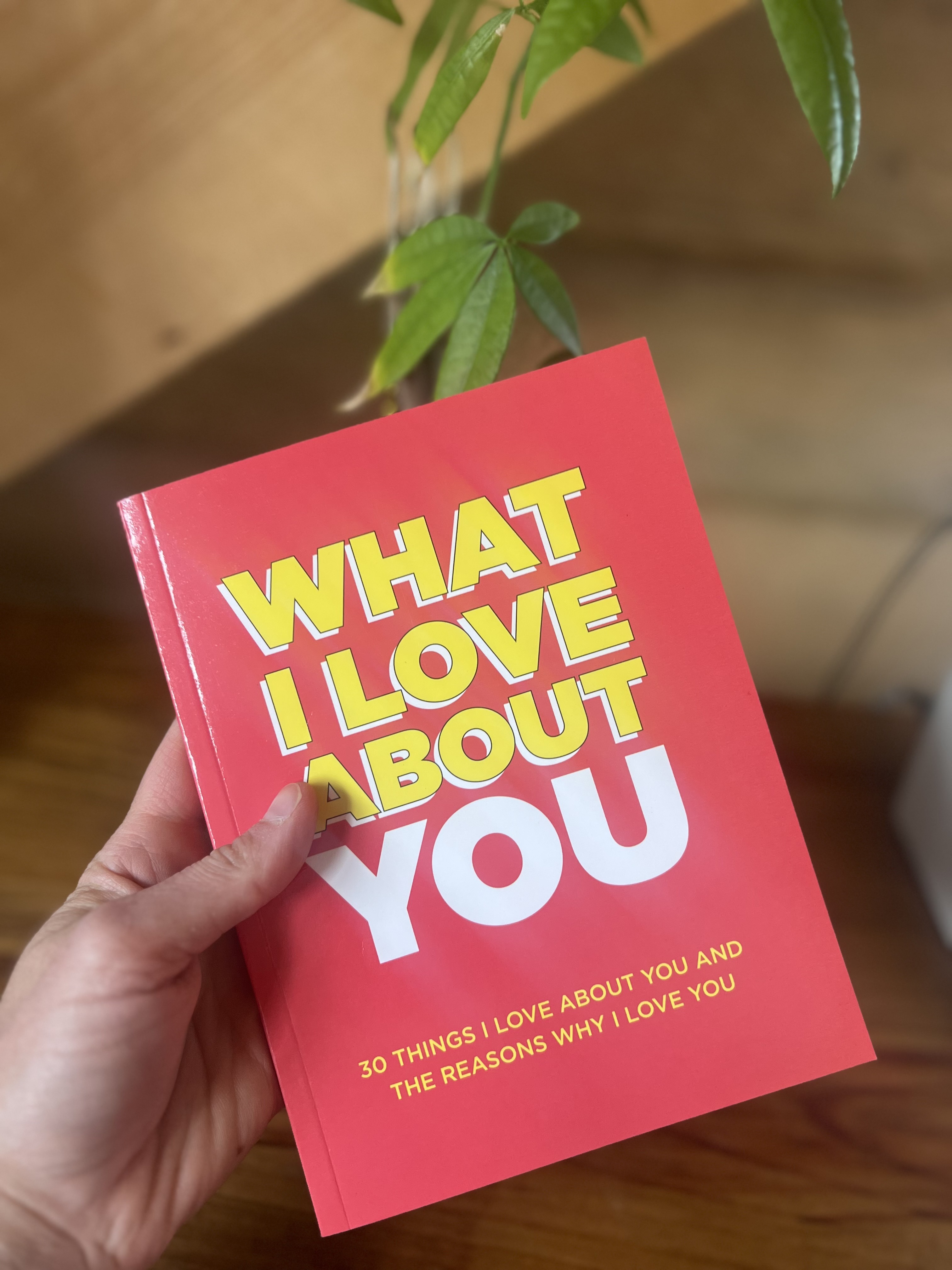 What I Love About You