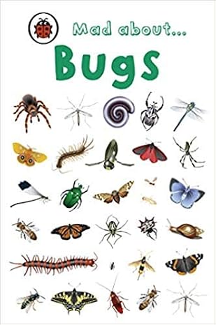 Mad About Bugs Ladybird Minis S 