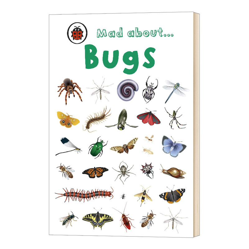 Mad About Bugs Ladybird Minis S 