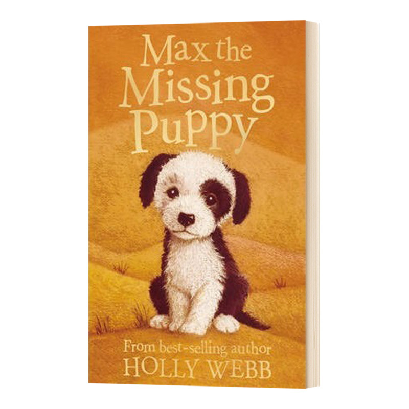Max the Missing Puppy (Pet Rescue Adventures)
