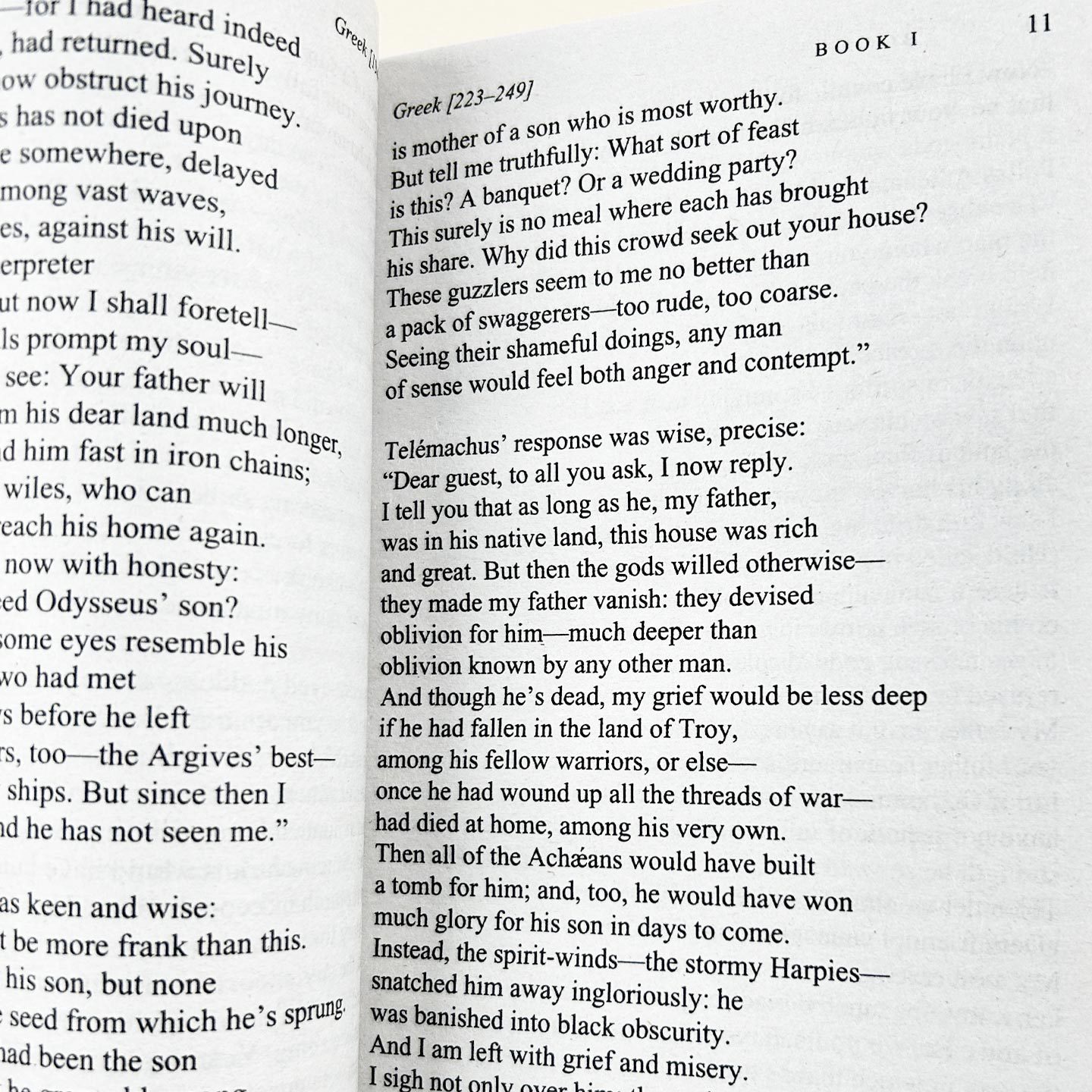 The Odyssey of Homer: A New Verse Translation