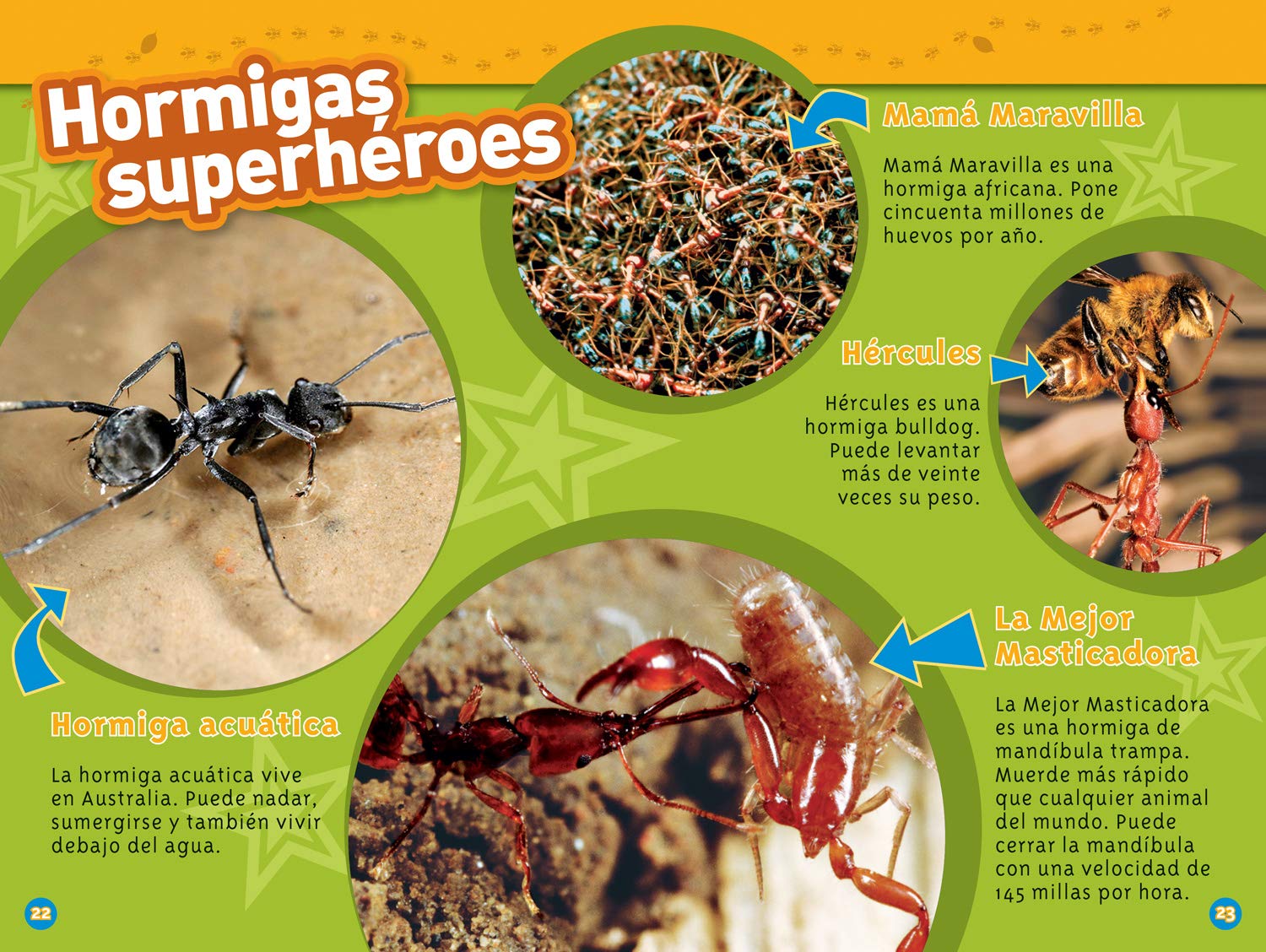National Geographic Readers: Las Hormigas (L1)