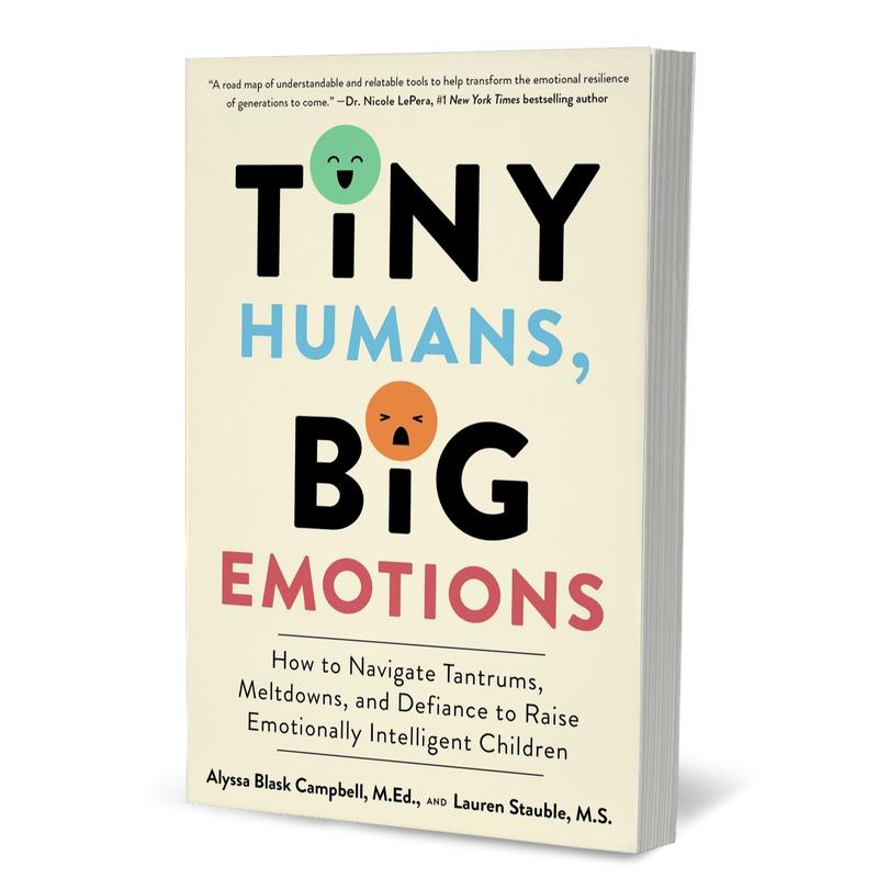 Toddler Emotional Regulation Guide | Mindful Parenting & Tantrum Management Book