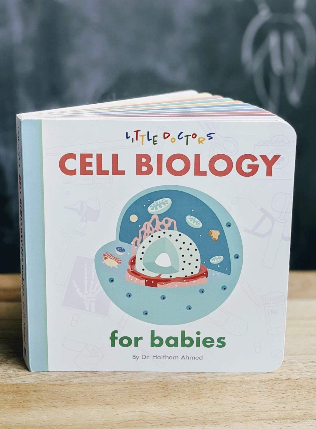 Early STEM Board Book | Introduction to Human Biology for Toddlers