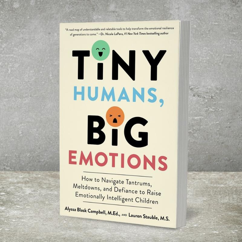 Toddler Emotional Regulation Guide | Mindful Parenting & Tantrum Management Book