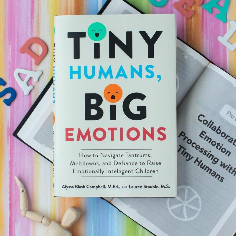 Toddler Emotional Regulation Guide | Mindful Parenting & Tantrum Management Book