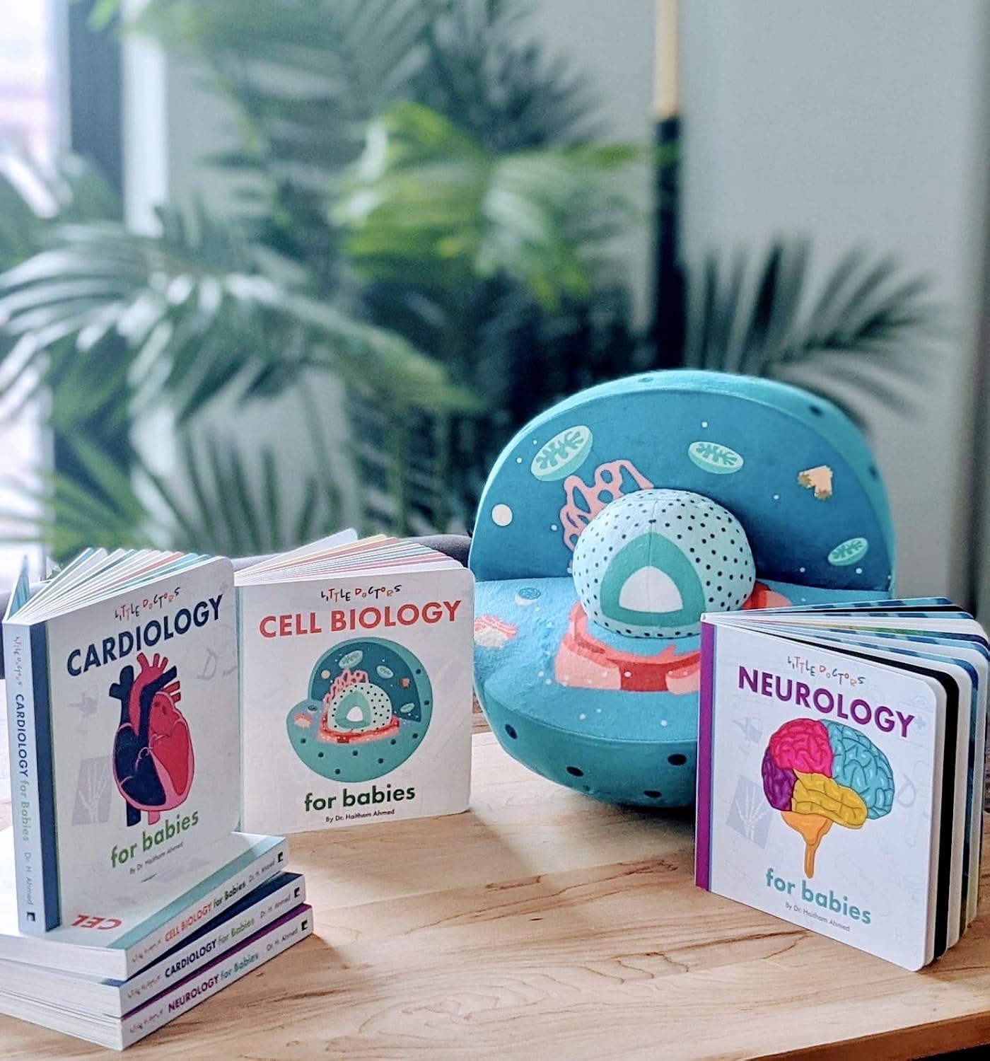 Early STEM Board Book | Introduction to Human Biology for Toddlers