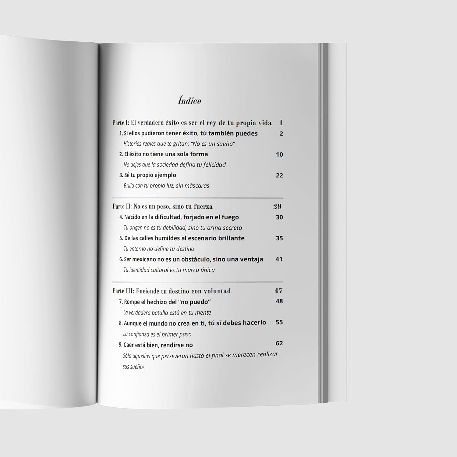 SabioCasa Una Mente Vale Más Que Un Millón Inspirational Book
