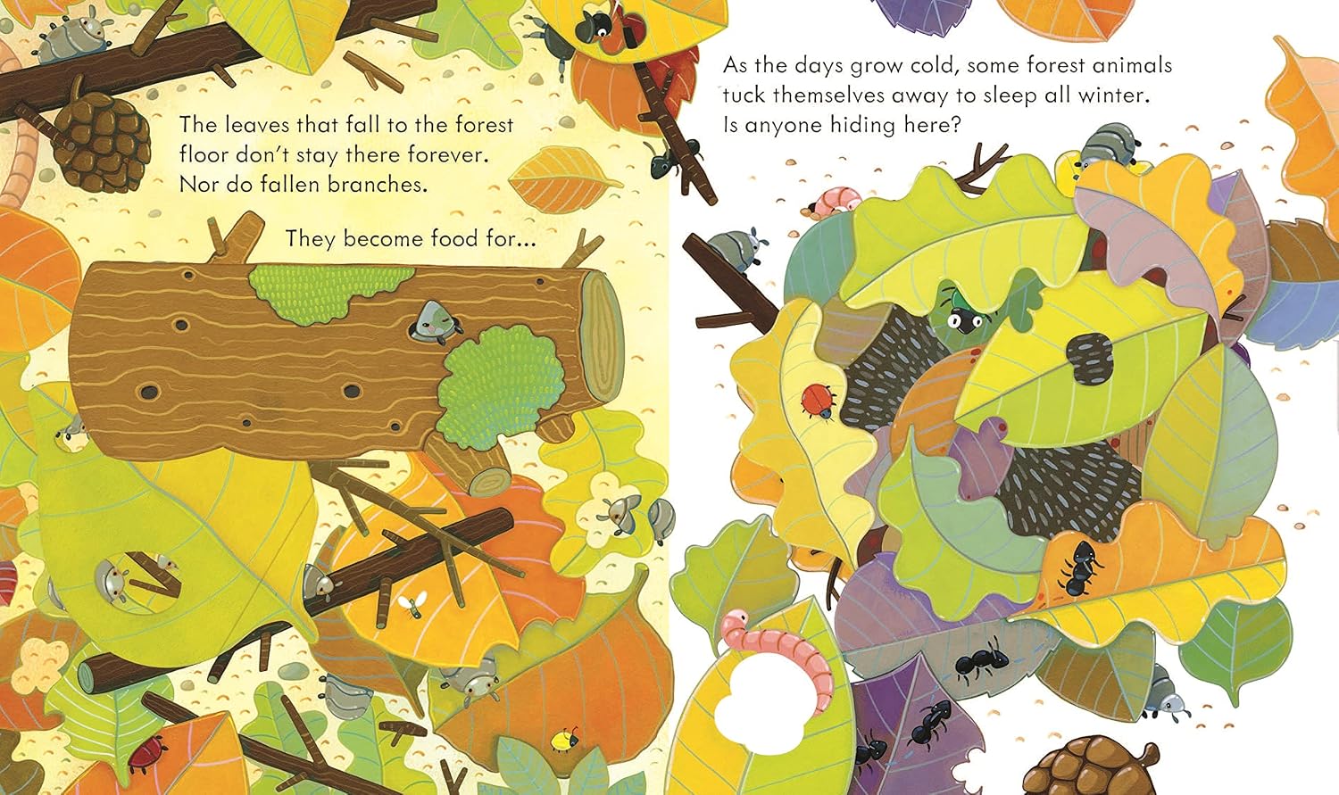 Usborne Peep Inside the Forest | By Anna Milbourne