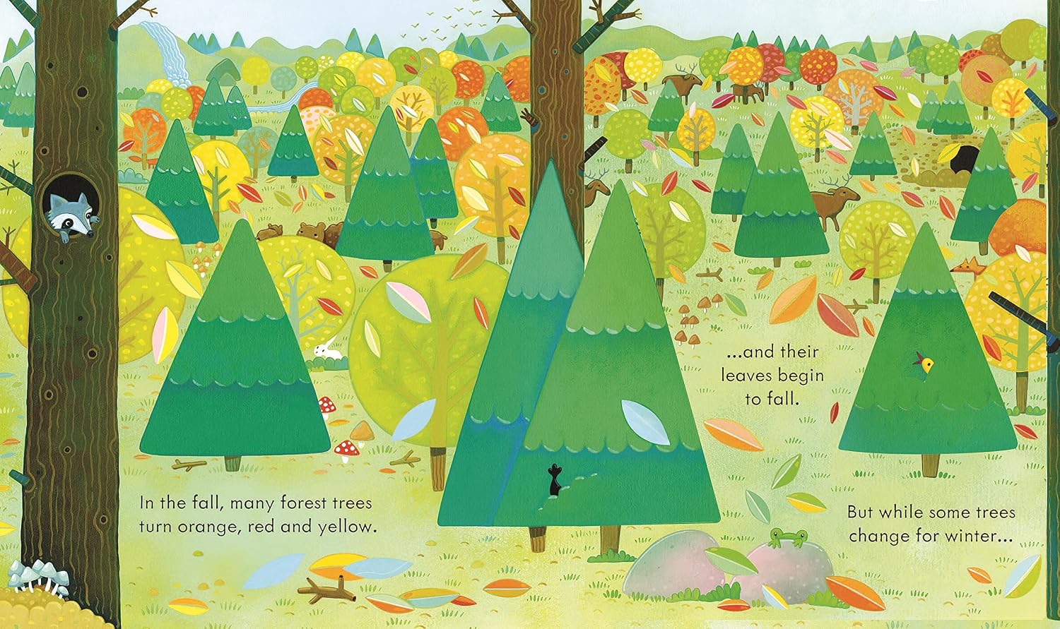 Usborne Peep Inside the Forest | By Anna Milbourne