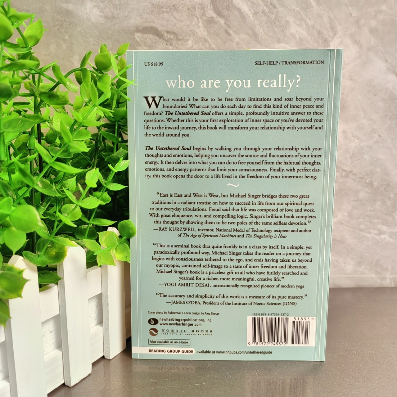 The Untethered Soul: The Journey Beyond Yourself