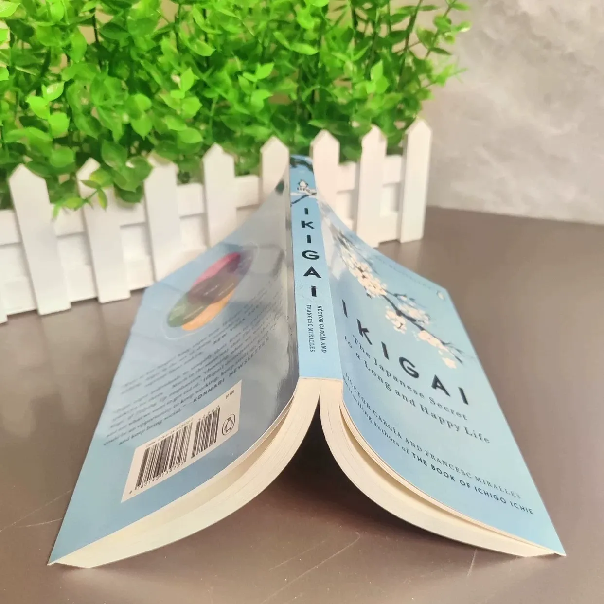 Ikigai: The Japanese Secret to a Long and Happy Life