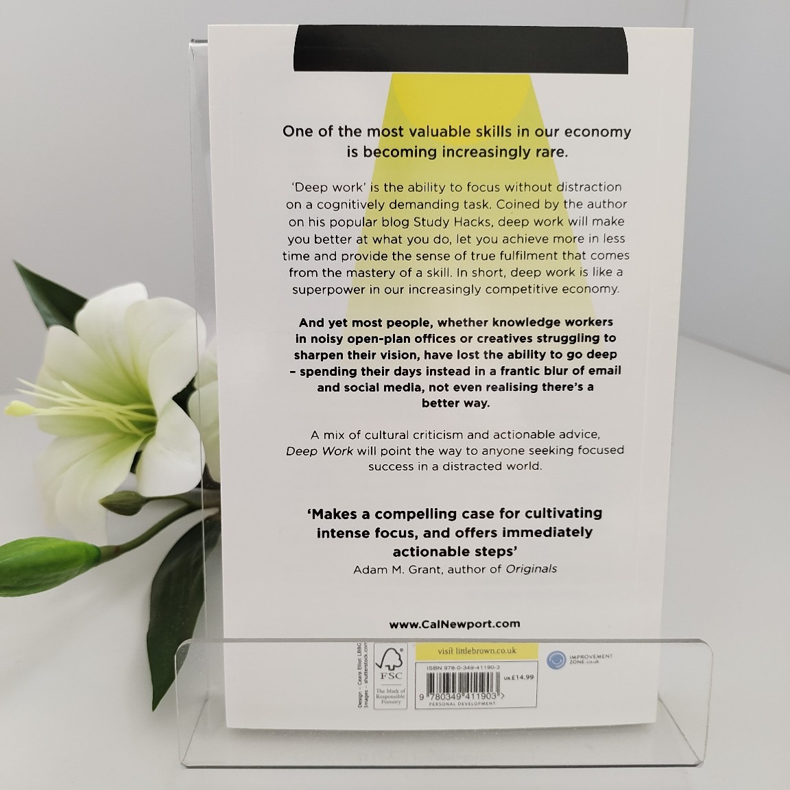 Deep Work : Rules for Focused Succes