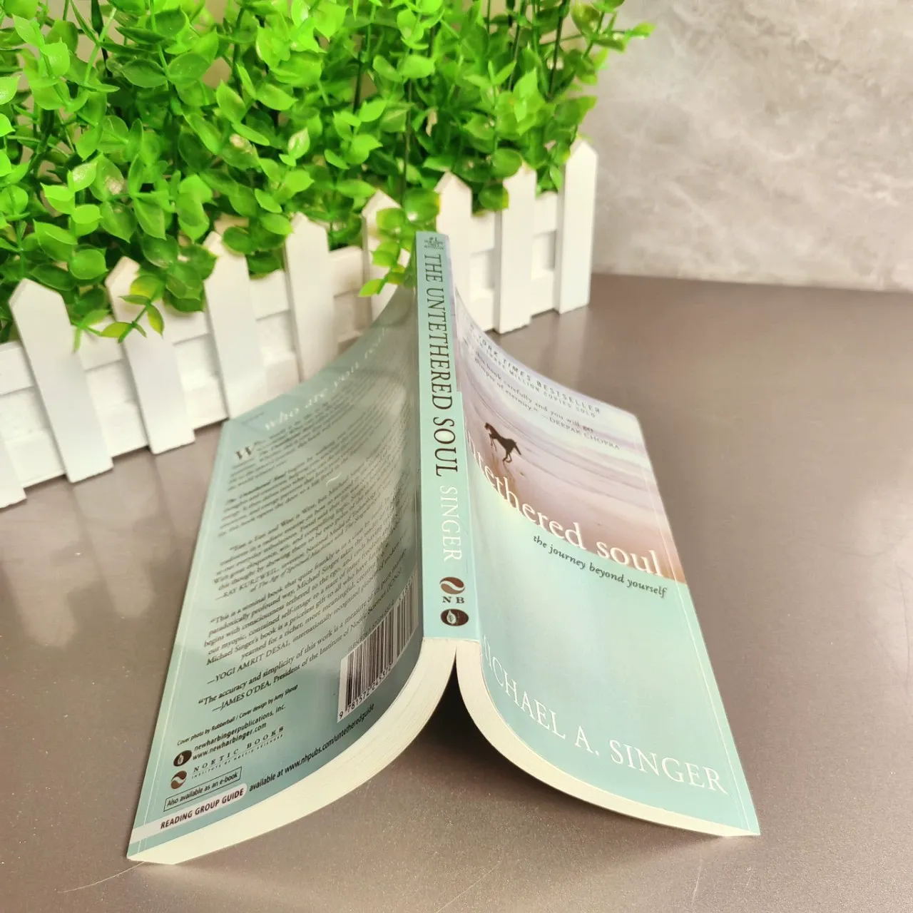 The Untethered Soul: The Journey Beyond Yourself