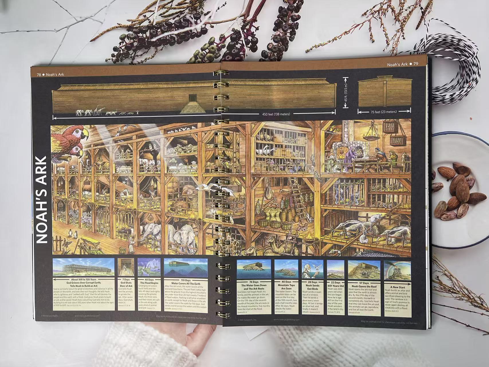 Essential Biblical Timeline & Study Guide | Visual Charts & Maps for Group Sessions