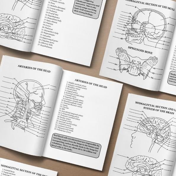 Human Anatomy Coloring Book for Adults & Students | 100 HD Medical Illustrations