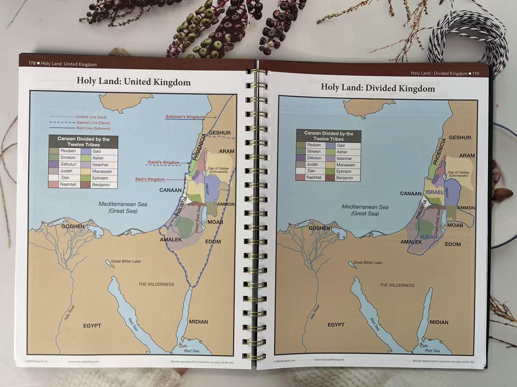 Essential Biblical Timeline & Study Guide | Visual Charts & Maps for Group Sessions