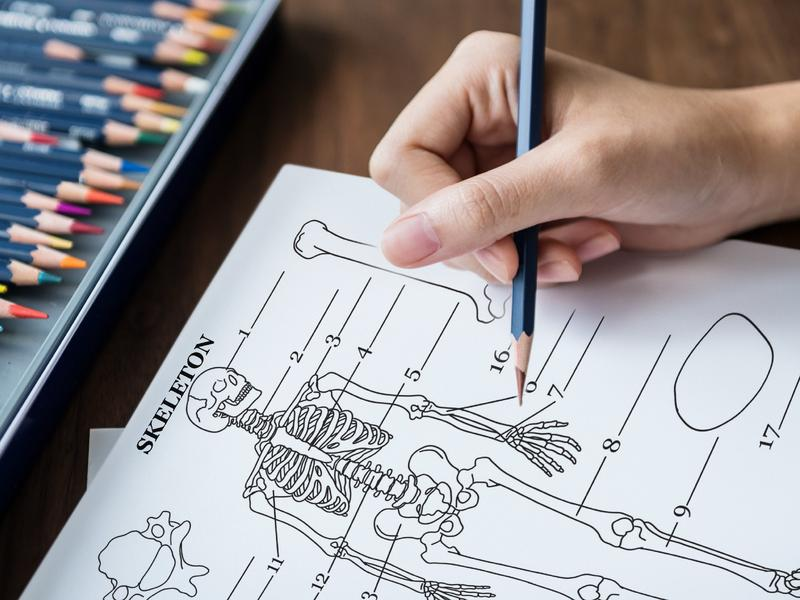 Human Anatomy Coloring Book for Adults & Students | 100 HD Medical Illustrations
