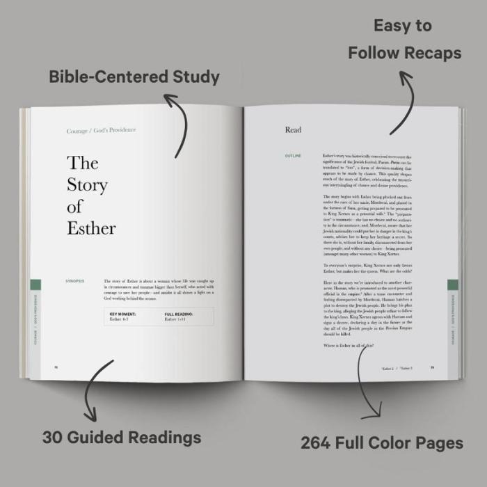 Alabaster The Good and Beautiful Bible Study - Volume 1: Exploring Biblical Stories and Their Impact on Our Lives