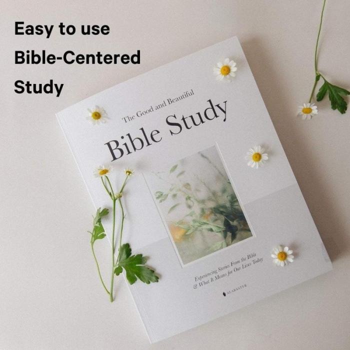 Alabaster The Good and Beautiful Bible Study - Volume 1: Exploring Biblical Stories and Their Impact on Our Lives