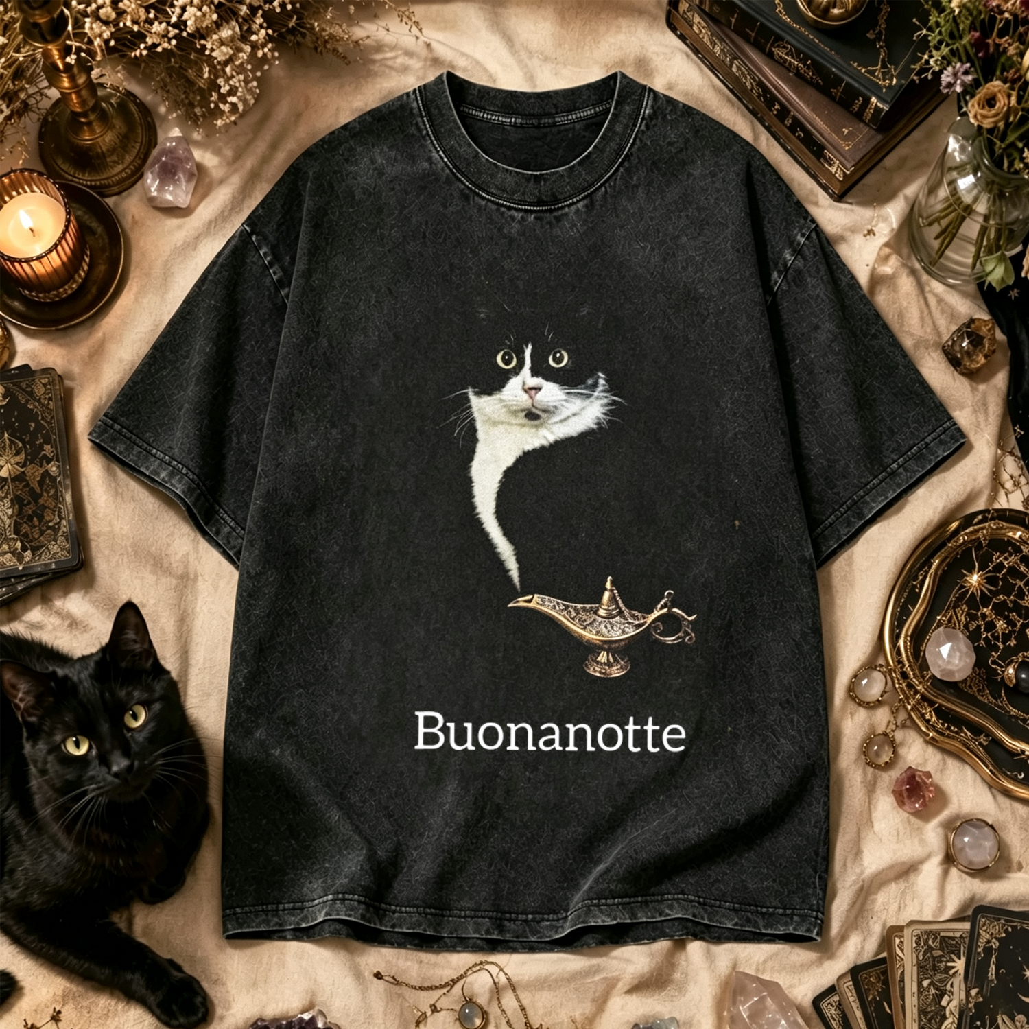 Moonnora Aladdin's Magic Lamp Cat Washed T-Shirt